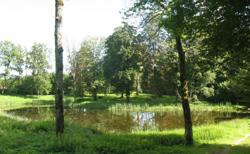 56_Giliuko ir Kastoniuko takas. A.Brazdeikytes n.jpg